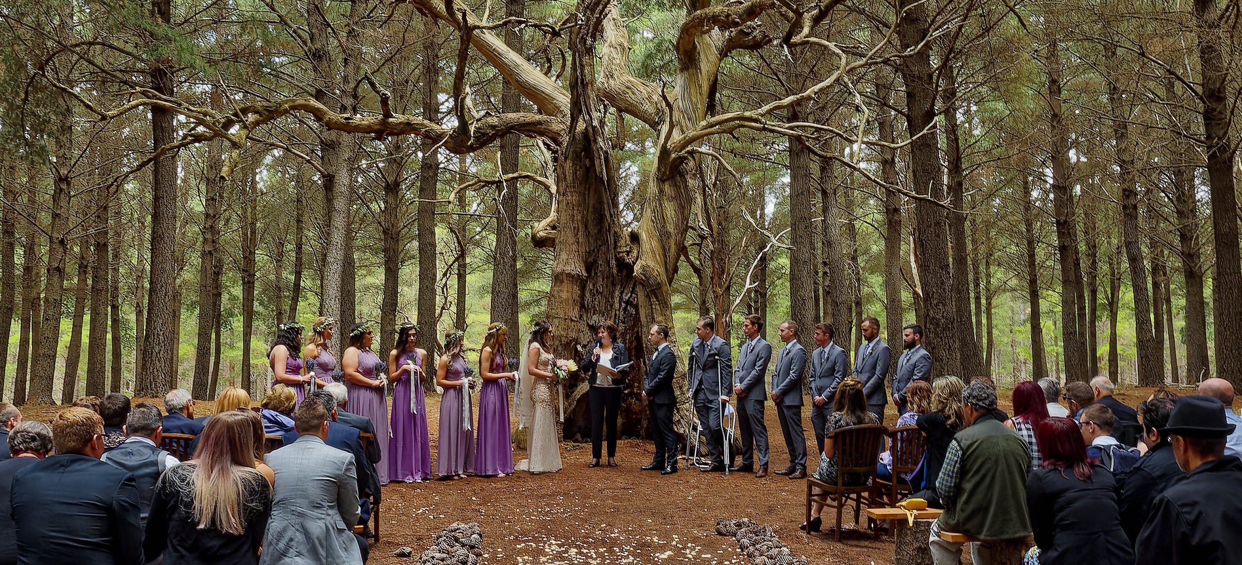 Wedding at Kuitpo Forest